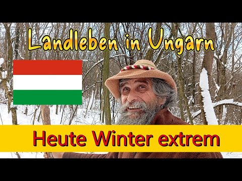 Today, extreme winter; rural life in Hungary