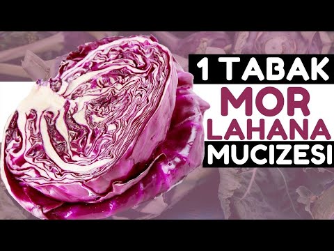 , title : '1 Tabak Mor Lahana Vücudunuza Bunları Yapıyor | Mor Lahananın Faydaları Nelerdir?'