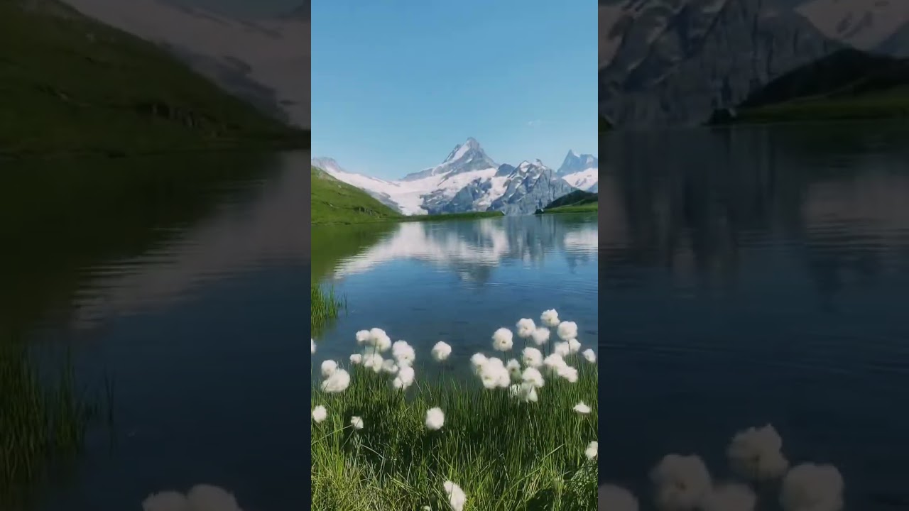 YouTube Short thumbnail