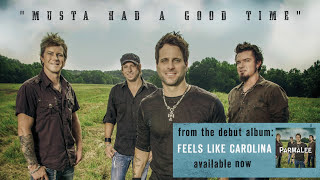 Parmalee - Musta Had a Good Time (Audio Version)