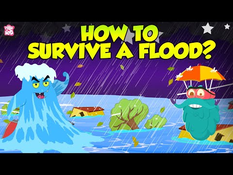 How To Survive Floods? | Preparing For A Flood | The Dr Binocs Show | Peekaboo Kidz
