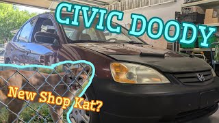2002 Honda Civic Misfire - Oil in the Spark Plug Tubes, And...?