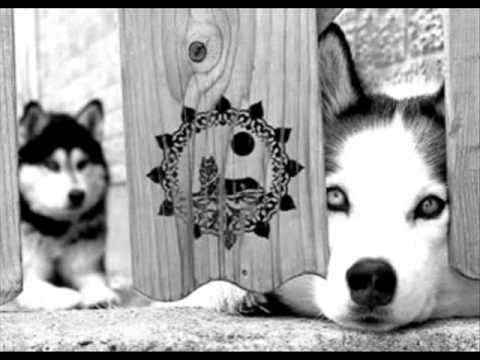 Champp ft. Ceaser - Hoffnung