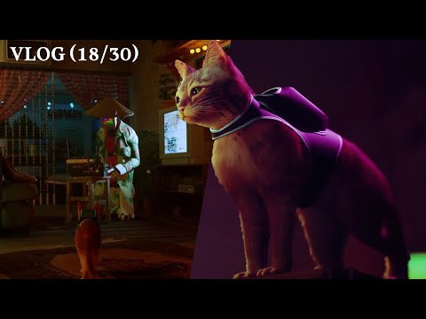 Cat's Eye View: Exploring the Cybernetic Wonders of Stray - A Stray 2022 Gaming Vlog | VLOG 18