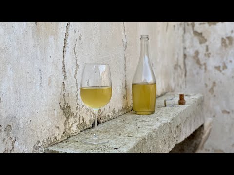VINO BIANCO fatto in casa ๐พ Come fare il VINO BIANCO a livello amatoriale ๐ท #VINO