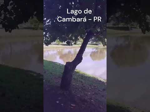 #CAMBARÁ-PR: É PRECISO SABER VIVER! #vivaohoje #shorts #vivanopresente #lago #passeiodefimdesemana