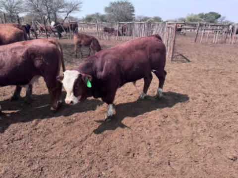 187F08B0 53E0 4773 A75C 3BB93A49CF12