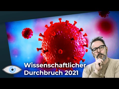Der wissenschaftliche “Durchbruch des Jahres”: Nun können Rätsel über Viren aufgeklärt werden!