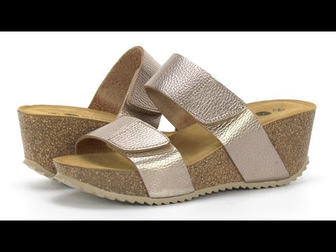 Women's Eric Michael Lily 2 | Zappos.com