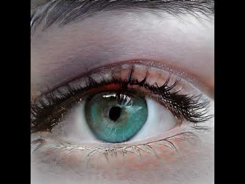 Steven Weston feat. Taė - Everything Is Beautiful (Official Video by GAN AI)