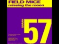 Field Mice - Missing The Moon  (1991)