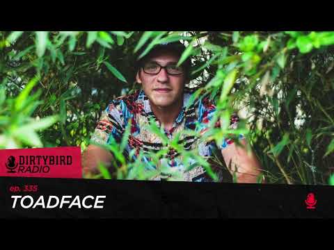 Dirtybird Radio 335 - Toadface