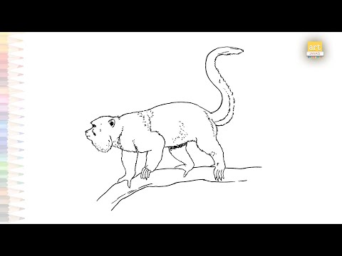 Howler Monkey Drawing