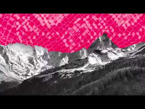 Bauchamp – SONANZA (CCCheaP RMX) /// EHR® Promo Visuals