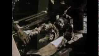 Half Japanese - Our Eyes