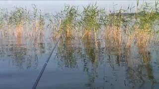 Рыбалка в аткуле челябинской области