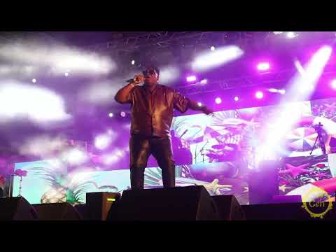 Viking Ding Dong At Machel 40 One Show