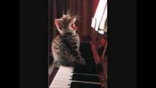 Le Chanson Du Soldat