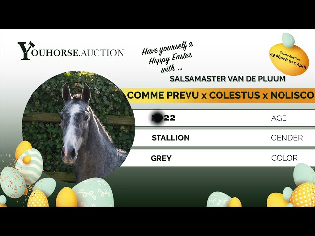 Salsamaster van de Pluum