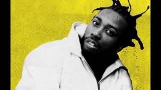 Ol&#39; Dirty Bastard - Drug Free