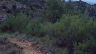 preview picture of video 'Baixada des de la Serra Major del Montsant fins l'Ermita de Sant Salvador.'