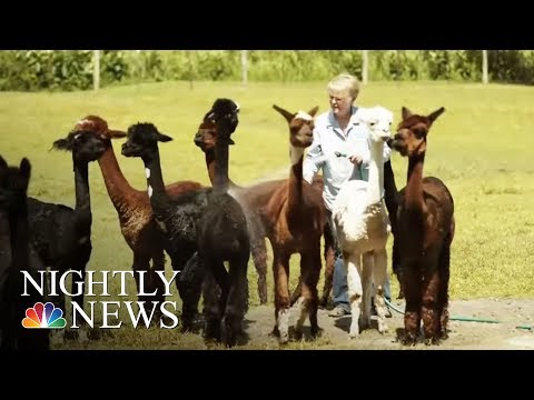 Hobby Farming On The Rise, Especially Among Retirees | NBC Nightly News