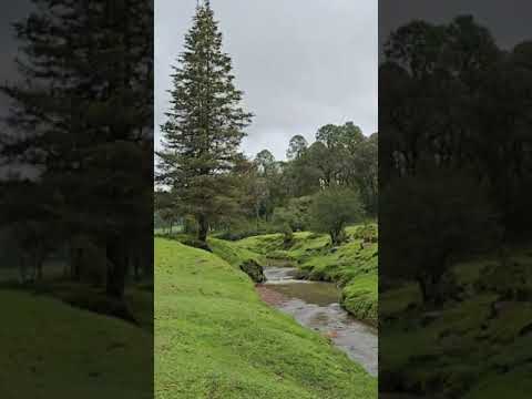 Juanacatlan, Mascota, Jalisco #lluvia #nature #quelocuraenamorarmedeti  #travel