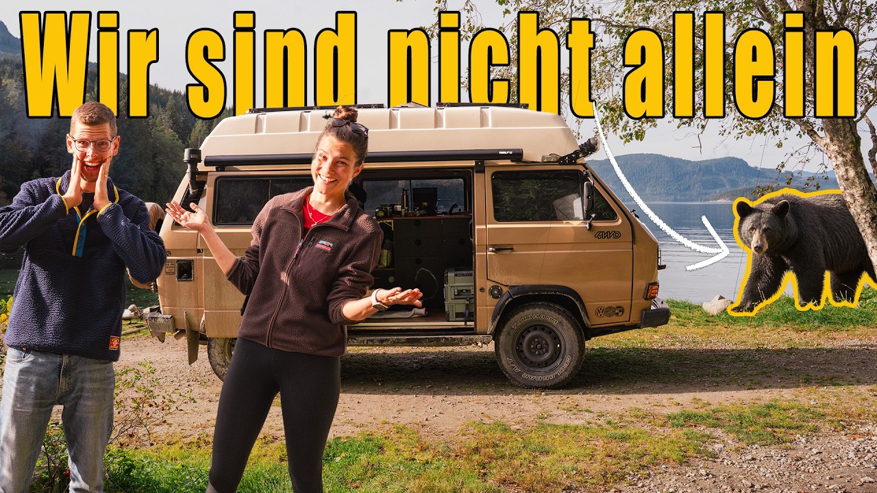 Bären im Camp auf Vancouver Island | Mit unserem T3 Syncro auf Kanadas wildester Insel | #73