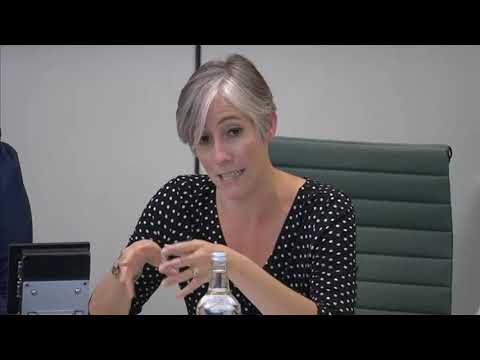 EOCS Campaigners Give Evidence at Building Safety Bill Public Committee Session - 09/09/2021