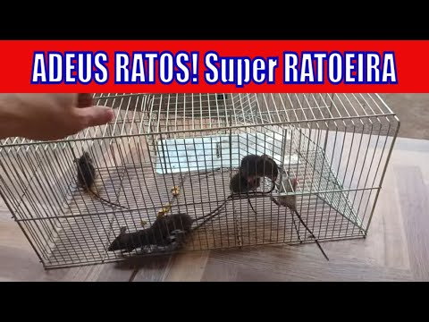 The best mousetrap in the world (cage mousetrap)