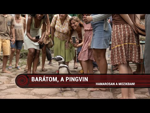 Barátom, a pingvin trailer