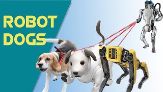 Real Life Robot Dogs || Watch the most realistic Robot Dogs || Aibo, Spot, Jennie, &amp; more