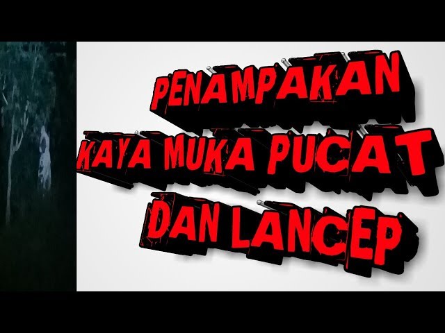 PENAMPAKAN LANCEP DAN KAYAk MUKA PUCAT.