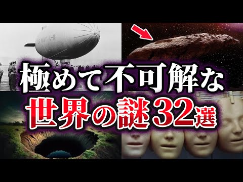 庭の東側にある常緑樹の深い日陰を見つける