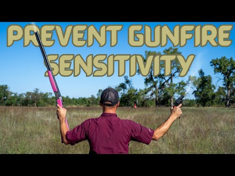 Fix Or Prevent Gun Shy Bird Dogs And Duck Dogs