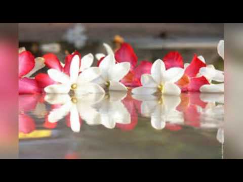 Te Arii Tama - Tambourin