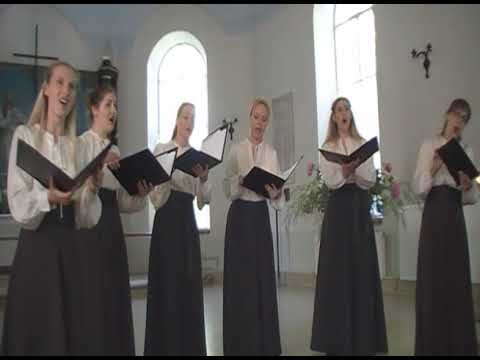 Vokālā grupa Anima Solla dzied Max Roomsky - Прейде сень законная