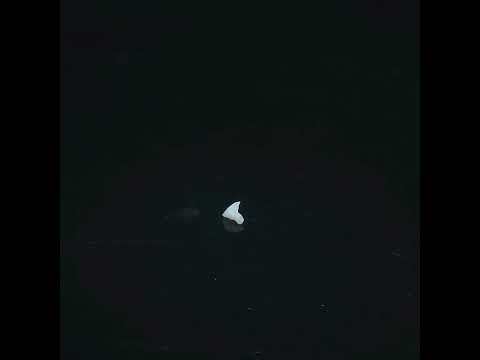 YouTube 썸네일