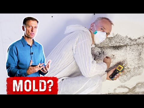 Hidden Dangers of Soy How Does it Affect Your Body – Dr Berg