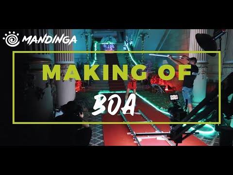DJ Sava, Hyneas, Mandinga, Yasiris, MWolf - BOA (making of)
