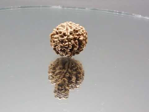 RDN015429 GJSPC LABORATORY LAB TESTING REPORTS ONLINE VIEW