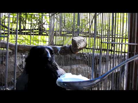 ice cream on a hot day