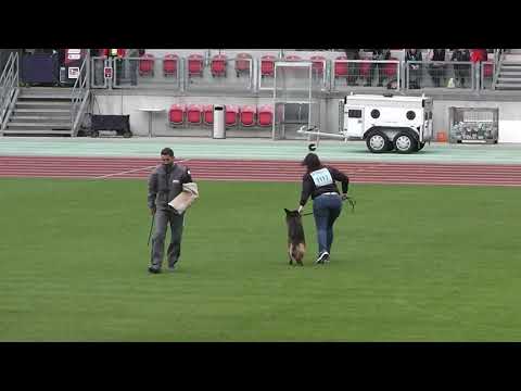 BSZS 2019 Maestro du val D`Anzin