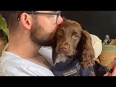 ¡Nuestro perro Martha tiene un talento que debes ver para creer!