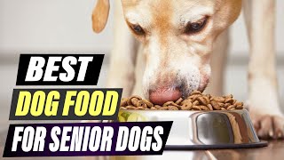 Best Dog Food For Senior Dogs 2026! (Top 5 Vet-Approved Form