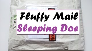 Period Talk [Fluffy Mail #2] - Sleeping Doe [Monatshygiene/Etsy]