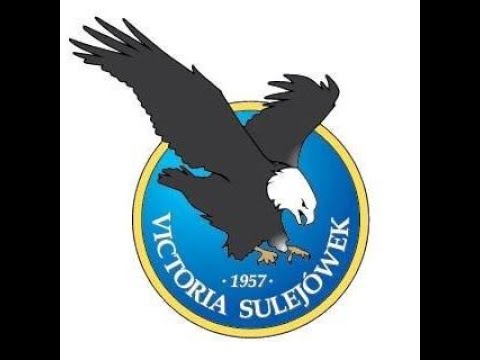 Pro Serwis Victoria Sulejówek