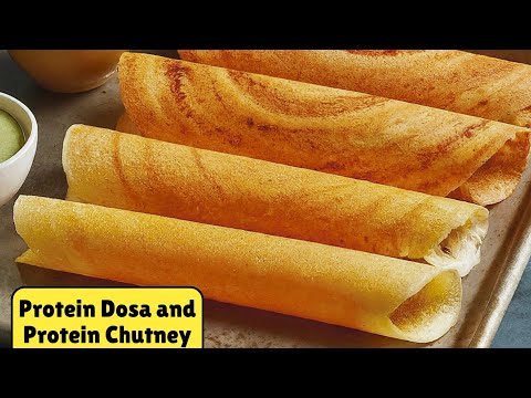 How to Make HIGH PROTEIN Dosa and Chutney Recipe | डोसा रेसिपी | How to Make Dosa | Dosa Recipe