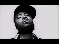 Reef The Lost Cauze - Bad Lieutenant