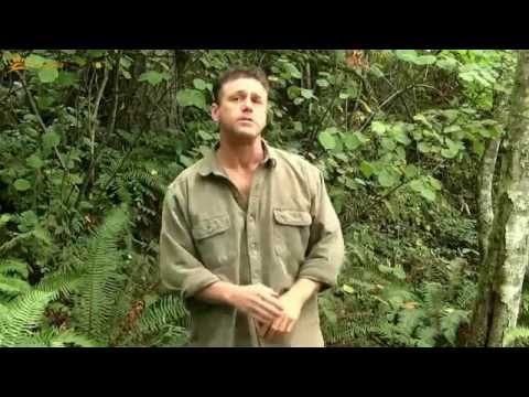 Permaldea - The Autarkic Village in Paraguay